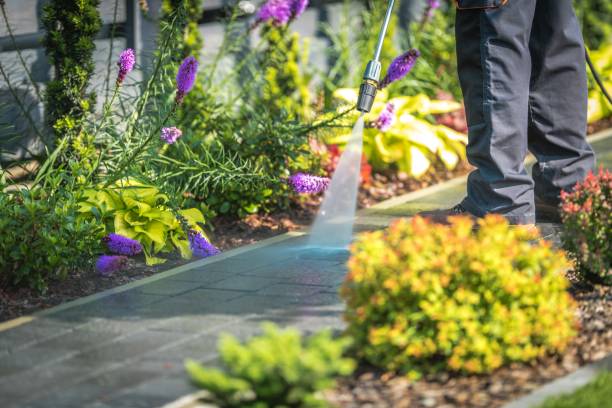 Best Fence Cleaning  in Newport, VT