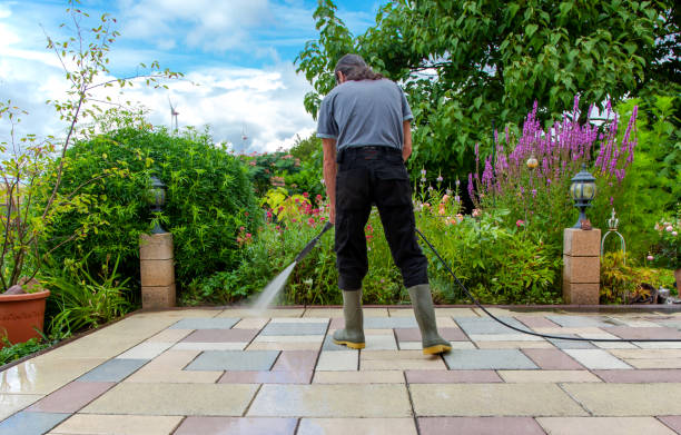 Animal Enclosure Cleaning in Newport, VT
